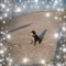 Marjorie de Jong Avatar