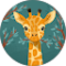 Anna Máté Avatar